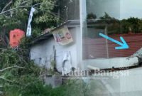 Pohon yang berukuran besar disekitar Huntara Desa Waymuli tumbang,sehingga menimpa fasilitas kamar mandi umum huntara.