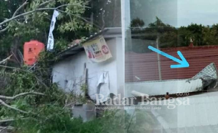 Pohon yang berukuran besar disekitar Huntara Desa Waymuli tumbang,sehingga menimpa fasilitas kamar mandi umum huntara.