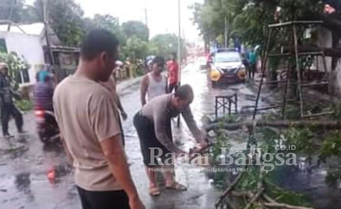 Anggota Polsek Driyorejo saat bersihkan Pohon Tumbang