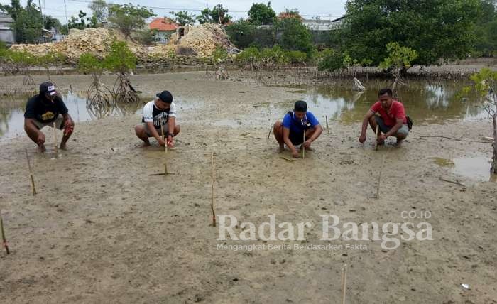 Tempat akan di tanami pohon mangrove