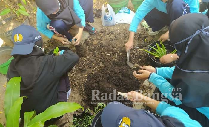 Mahasiswa KKN Unesa melakukan pembibitan dan penanaman Tanaman Obat Keluarga (TOGA) di Desa Sedatigede, Sidoarjo