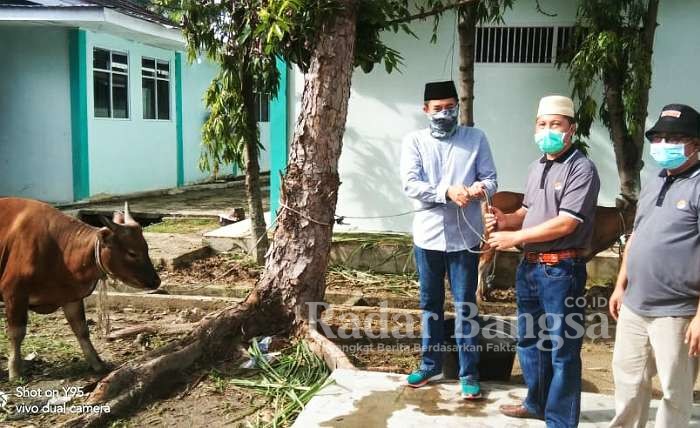 direktur RSUD Dumai drg Ridhonaldi menyerahkan hewan qurban secara simbolis kepada panitia pelaksana