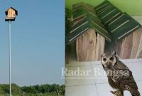 Nampak Rumah Burung terpasang di tengah persawahan