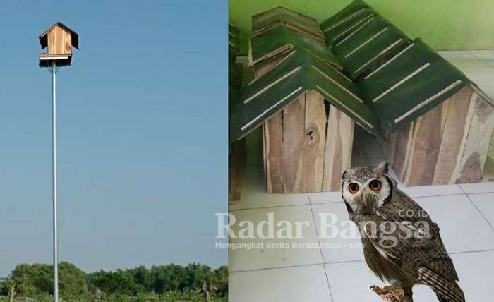 Nampak Rumah Burung terpasang di tengah persawahan