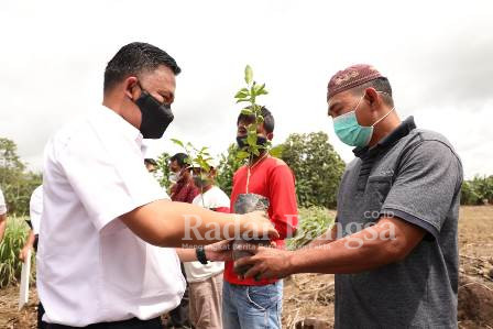 Bupati Bantaeng, DR Ilham Azikin saat meberikan bibit tanaman buah [IST]