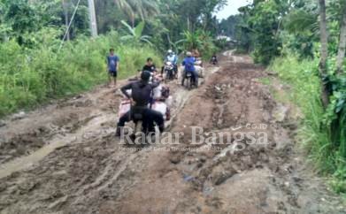 Kondisi jalan kabupaten penghubung desa Margasari rusak berat.[NST]