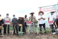 Bupati Lampung Selatan, H. Nanang Ermanto bersama Ketua Komisi IV DPR RI, Sudin, SE lakukan Penanaman Perdana Komoditi Pisang Barangan Merah di Kebun Nursery PT Talun Jaya Abadi [KMF]