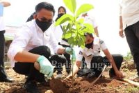 Bupati Bantaeng, DR Ilham Azikin ikut melakukan penanaman  [HMS]