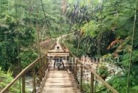  kkondisi jembatan desa Mekarsari Kecamatan Naringgul Kabupaten Cianjur Provinsi Jawa Barat [EA,N]