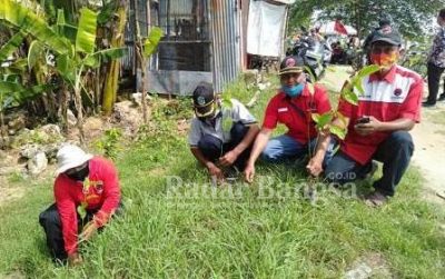 Penanaman Pohon oleh Ketua DPC PDI Perjuangan, Saim S.Pd, kepala desa Plosowahyu, Agus Susanto beserta perangkat desa, Babinsa, Bhabinkamtibmas, warga masyarakat dan pengurus PDI Perjuangan se- Kabupaten Lamongan. [IST]