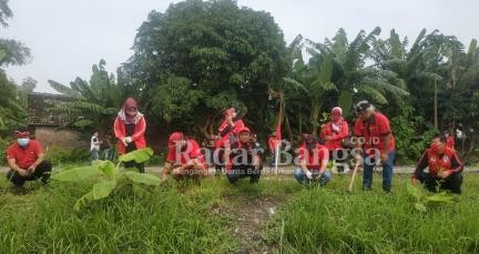  DPC PDIP Sidoarjo menanam 4.874 bibit pohon dalam rangka memperingati HUT PDI Perjuangan dan Megawati Soekarnoputri [IST]