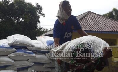 Bulog Cabang Bojonegoro Serap Gabah dan Beras Petani di Jl. Raya Babat - Jombang Karang Asem, Podang, Karangkembang, Kecamatan Babat Kabupaten Lamongan [IST]