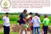 Persaudaraan Mitra Tani Nelayan Indonesia (PETANI)