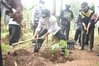  Plt. Bupati Cianjur H. Herman Suherman di dampingi anggota DPRD Provinsi Hj. Lilis Boy, Kapolres Cianjur AKBP Mochamad Rifai, S.I.K, M.Krim, anggota DPRD Kabupaten Cianjur H. Sapturo, Unsur Forkopimca, Kades se Kecamatan Bojongpicung, sedang tanam pohon picung [Hms]