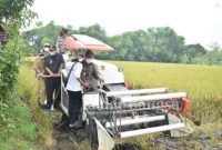 Bupati Yuhronur Efendi bersama Wakil Bupati Abdul Rouf yang hadir mengikuti acara panen raya [IST]