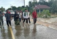 Bupati Pelalawan saat datangi lokasi banjir [IST]