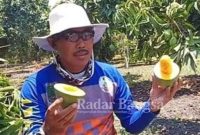 Kepala Desa Tombo wetan H.Hariono ikut menjadi duta promosi mangga Klonal 21