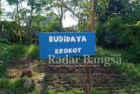 Budidaya Alang-alang, krokot, dan rumput gandum di sekitaran SD Labschool Unesa 2 Surabaya