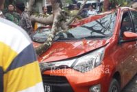 Kondisi Mobil yang tertimpah pohon di jalan raya Tanah Merah