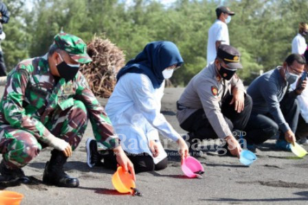  Bupati Banyuwangi Ipuk Fiestiandani saat pelepasan tukik (anak penyu) ke laut, di Pantai Cemara