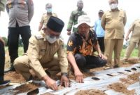  Wakil Bupati Banywuangi, Sugirah saat menghadiri penanaman perdana porang di Desa Sukorejo, Kecamatan Bangorejo Banyuwangi, kemarin Senin (4/10/2021)