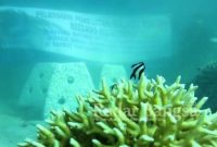 Pelatihan pembuatan Terumbu Karang Buatan Berbasis Eco Friendly oleh Dosen PPNS di pantai wisata pasir putih, Situbondo
