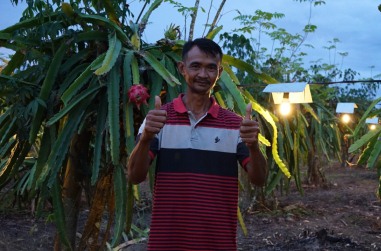 Salah satu petani Sugiyono 