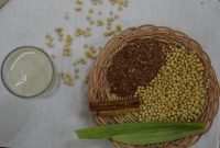  Beras Merah dan Susu Kedelai