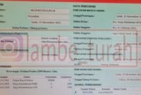  Bukti pendaftaran hak asuh Gala Sky di Pengadilan Agama Jakarta Barat (Sumber lambe turah)