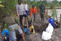 Tanggul jebol, kerja bakti secara gotong royong dilakukan warga masyarakat Desa Tambakploso dan Desa Balun, bersama Pemerintah Desa dengan di bantu TNI dan Polri. Jum'at (5/11/2021)