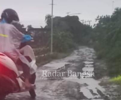 Potret buram kondisi jalan poros rusak parah dan sangat memprihatinkan, tepatnya desa yang dijabat oleh Kepala Desa yang sempat Viral dan Go Nasional, dia Angely Emitasari Kepala Desa Kedungkumpul, Kecamatan Sukorame, Kabupaten Lamongan, Jawa Timur. Kamis (04/11/2021)