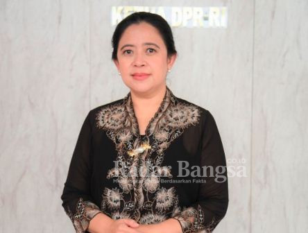 Ketua Dewan Perwakilan Rakyat (DPR) RI Puan Maharani