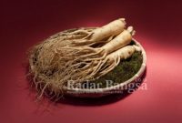 photo provided : The Korea Ginseng Association (PRNewsfoto/The Korea Ginseng Association)