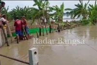 Banjir rendam ribuan hektar tambak di Lamongan (Dok Foto: Istimewa /RadarBangsa.co.id)