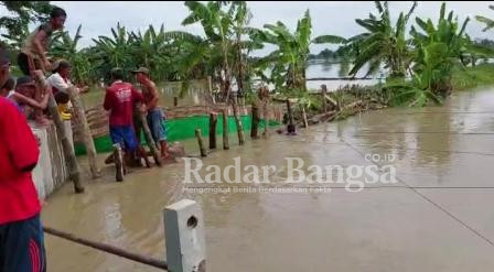 Banjir rendam ribuan hektar tambak di Lamongan (Dok Foto: Istimewa /RadarBangsa.co.id)