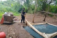 Lokasi tempat perjudian sabung ayam