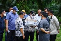  Bupati H. Surya, BSc bersama Wakil Bupati Taufik Zainal Abidin, S.Sos, M.Si meninjau langsung rencana pembangunan peningkatan ruas jalan yang menghubungkan Rawang Pasar IV – Panca Arga sepanjang 3600 M, Rawang Jalan Meranti (Simp AHI) – Rene Mas Meranti dengan panjang 1400 M dan lanjutan peningkatan Ruas Jalan Sp, Siantar – Barisan I Kecamatan Rawang Panca Arga dengan panjang 500 M, akan dikerjakan pada T.A. 2022, Kamis (27/01/2022) (IST)