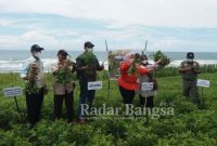 Kepala Dinas Pertanian, Perkebunan, Pangan dan Hortikultura, Kabupaten Cianjur DR. Ir. Parwinia. MM di dampingi Camat Sindangbarang dan Kepala UPTD BPP Sindangbarang - Agrabinta Ayi Setiawan. SP sedang melakukan panen raya kacang tanah variates Situraja di Keltan Pasir Dudukuy Sindangbarang ( Dok Foto AE Nasution)