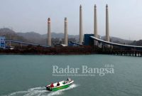 Lokasi tambang batu bara (IST)