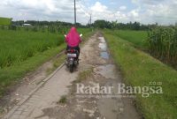Jalan Poros Desa Kondisinya Rusak Parah ( Dok Foto : Prastowo/RadarBangsa.co.id)