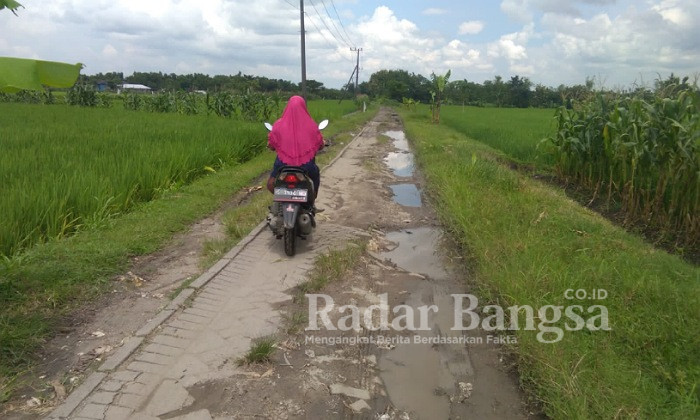 Jalan Poros Desa Kondisinya Rusak Parah ( Dok Foto : Prastowo/RadarBangsa.co.id)