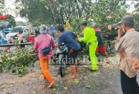 Petugas dibantu warga saat bersikan pohon tumbang.Selasa (22/02) (IST)