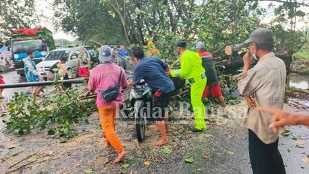 Petugas dibantu warga saat bersikan pohon tumbang.Selasa (22/02) (IST)