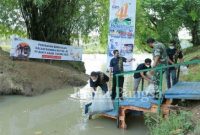 Penebaran Bibit Ikan oleh General Manager Pertambangan Tanjung Enim (GM PTE) PTBA Venpri Sagara didampingi Unsur Tripika Kecamatan Lawang Kidul, di Bantaran Sungai Enim, Tanjung Enim, Kecamatan Lawang Kidul, Jumat (18/2/2022) (IST)