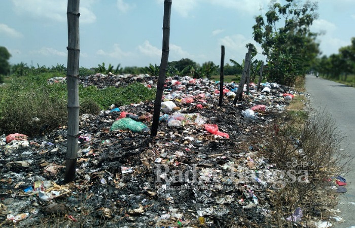 Tumpukan sampah menggunung yang berada di jalan poros Desa Moropelang   (12/04)