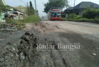 Jalan poros di Sukodadi terlihat rusak (Dok EdI S)