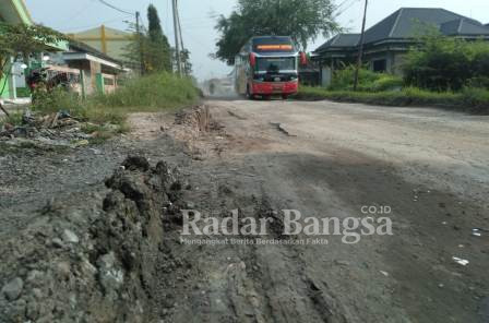 Jalan poros di Sukodadi terlihat rusak (Dok EdI S)