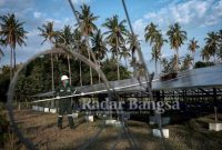 Salah satu petugas saat berkerja (IST)