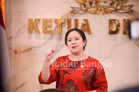  Ketua DPR RI Puan Maharani  (IST)