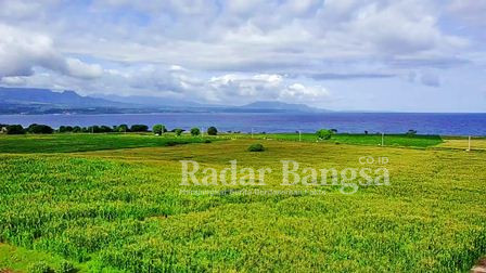 Pemandangan di area Mandalika (IST)